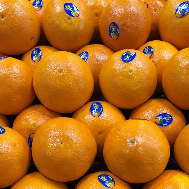 Picture of EASY PEEL ORANGES