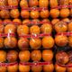 Picture of BLOOD ORANGES