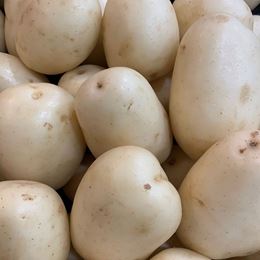Picture of POTATO - WASHED