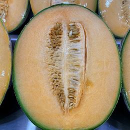 Picture of ROCKMELON - CUT