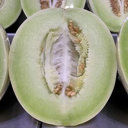 Picture of HONEYDEW MELON - CUT