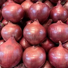 Picture of ONION - SPANISH