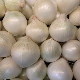 Picture of WHITE ONIONS