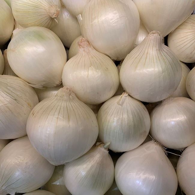Picture of WHITE ONIONS