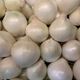 Picture of WHITE ONIONS