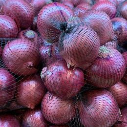 Picture of ONION - SPANISH 1KG NET 