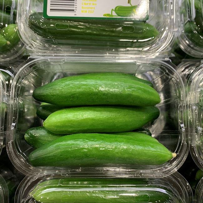 Picture of CUCUMBER - BABY (PUNNET)