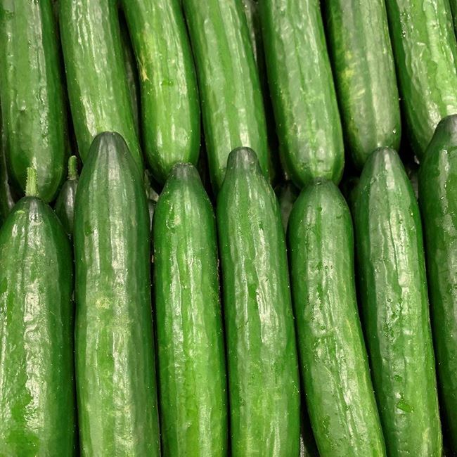 Picture of CUCUMBER - LEBANESE