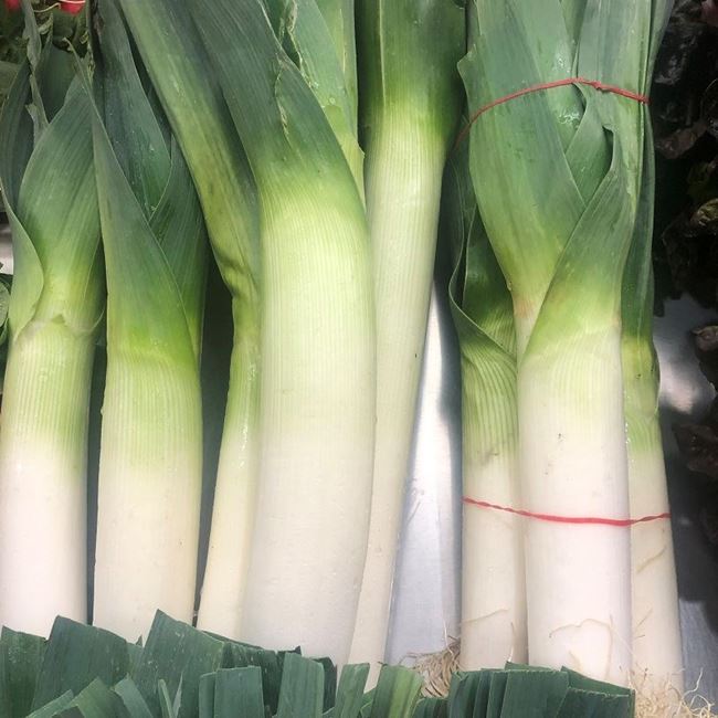 Picture of LEEKS BUNCH