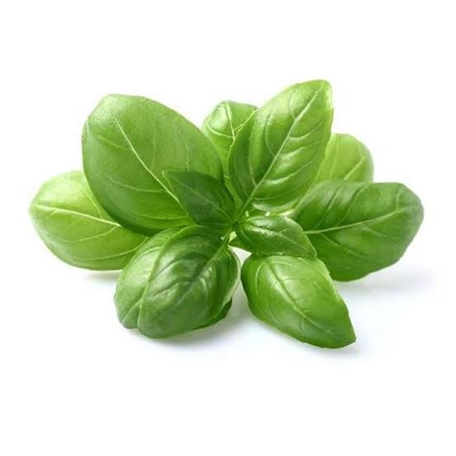 Picture of BASIL (bunch)