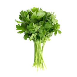 Picture of CONTINENTAL PARSLEY (bunch)