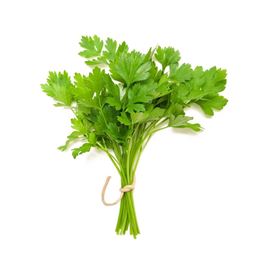 Picture of CORIANDER (bunch)