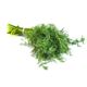 Picture of DILL (bunch)