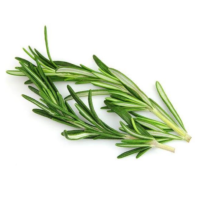 Picture of ROSEMARY (bunch)