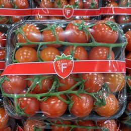 Picture of TOMATO - BABY CHERRY TRUSS