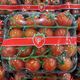 Picture of TOMATO - BABY CHERRY TRUSS