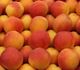 Picture of APRICOTS