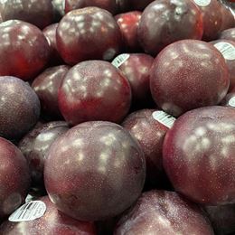 Picture of PLUMS