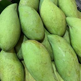 Picture of GREEN COOKING MANGOES