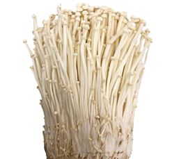 Picture of MUSHROOM - ENOKI (PACK)