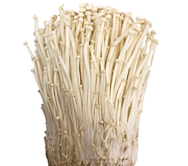 Picture of MUSHROOM - ENOKI (PACK)