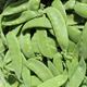 Picture of SNOW PEA PACK (250g)