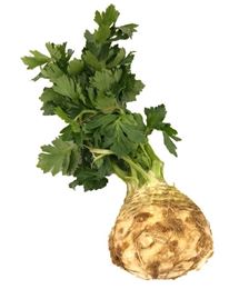 Picture of CELERIAC