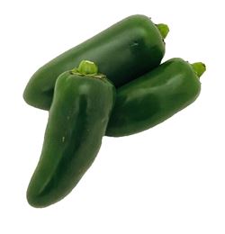 Picture of CHILLI - JALAPENO (100g PACK)