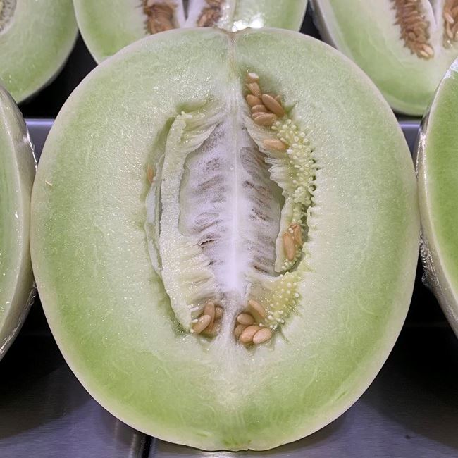Picture of HONEYDEW MELON - CUT 1/2