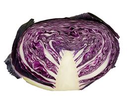 Picture of CABBAGE - RED CUT HALF