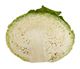 Picture of CABBAGE - SAVOY CUT HALF