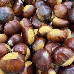 Picture of CHESTNUTS (500g PACK)