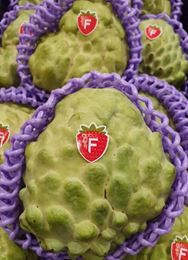 Picture of CUSTARD APPLE
