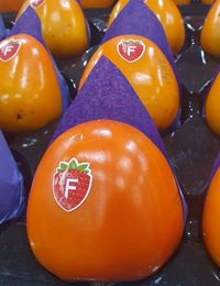 Picture of PERSIMMON