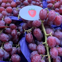 Picture of GRAPES - VALUE RED (400G)