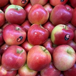 Picture of MI APPLE