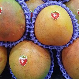 Picture of HONEY GOLD MANGOES