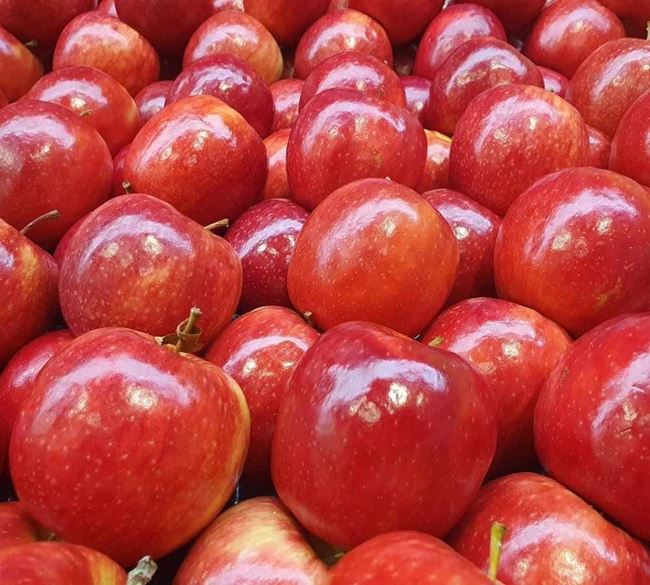 Picture of APPLE - PINK LADY VALUE
