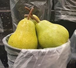Picture of PEAR - VALUE PACKHAM