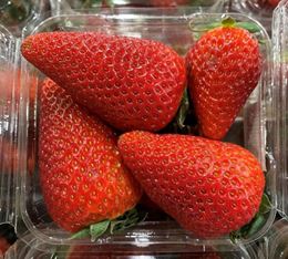 Picture of STRAWBERRIES (PUNNET)