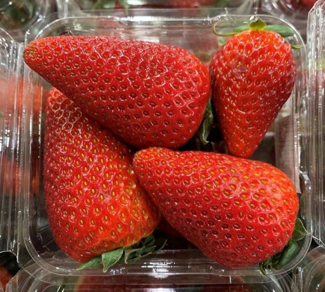 Picture of STRAWBERRIES (PUNNET)
