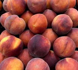 Picture of YELLOW PEACHES
