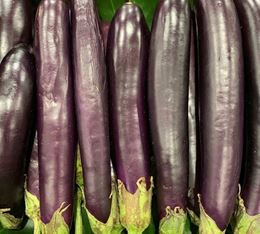 Picture of BABY EGGPLANT