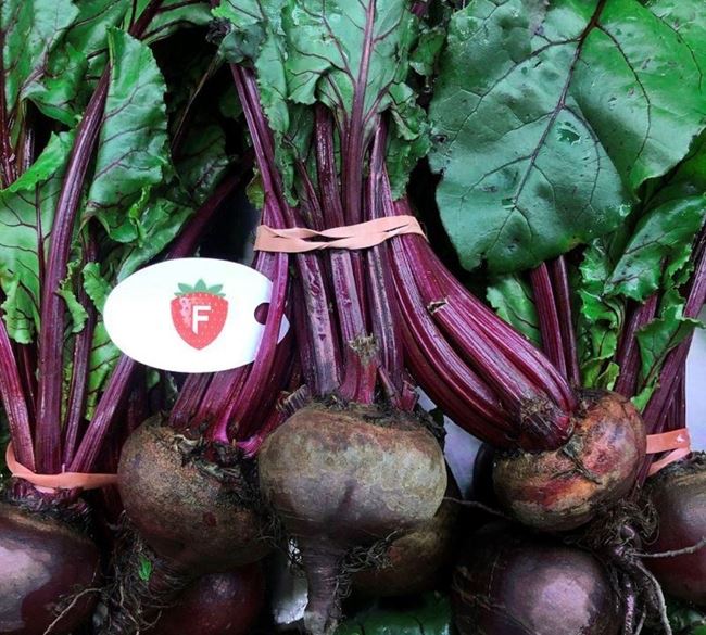 Picture of BEETROOT (BUNCH OF 3)