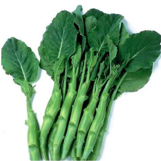Picture of CHINESE BROCCOLI