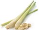 Picture of LEMONGRASS