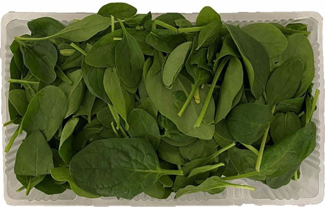 Picture of PRE PACKED SPINACH 130g