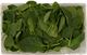 Picture of PRE PACKED SPINACH 130g