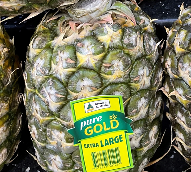Picture of PINEAPPLE (WHOLE)