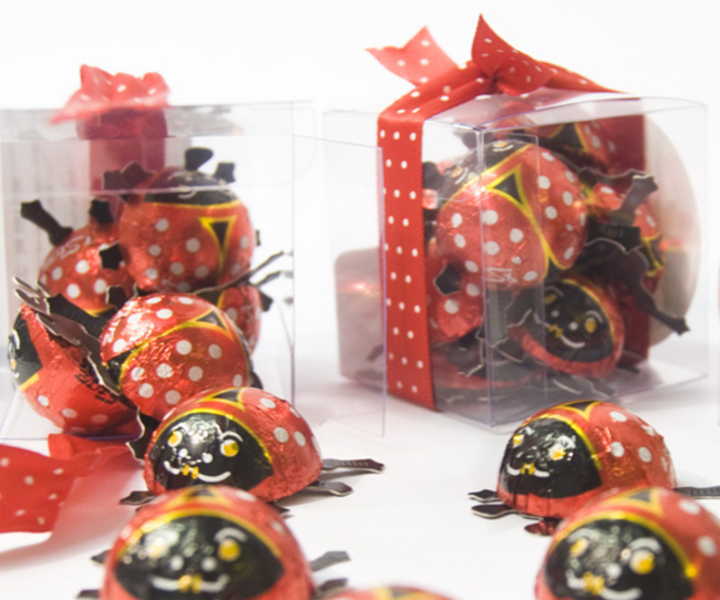 Picture of CHOCOLATE LADY BUGS